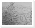 Naturstudie Naturstudie